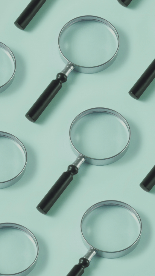 proceso due diligence